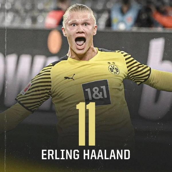 小结式观察 小结式观察