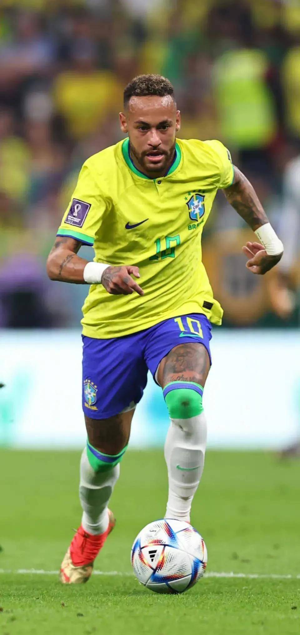 面前展示国 面前展示国